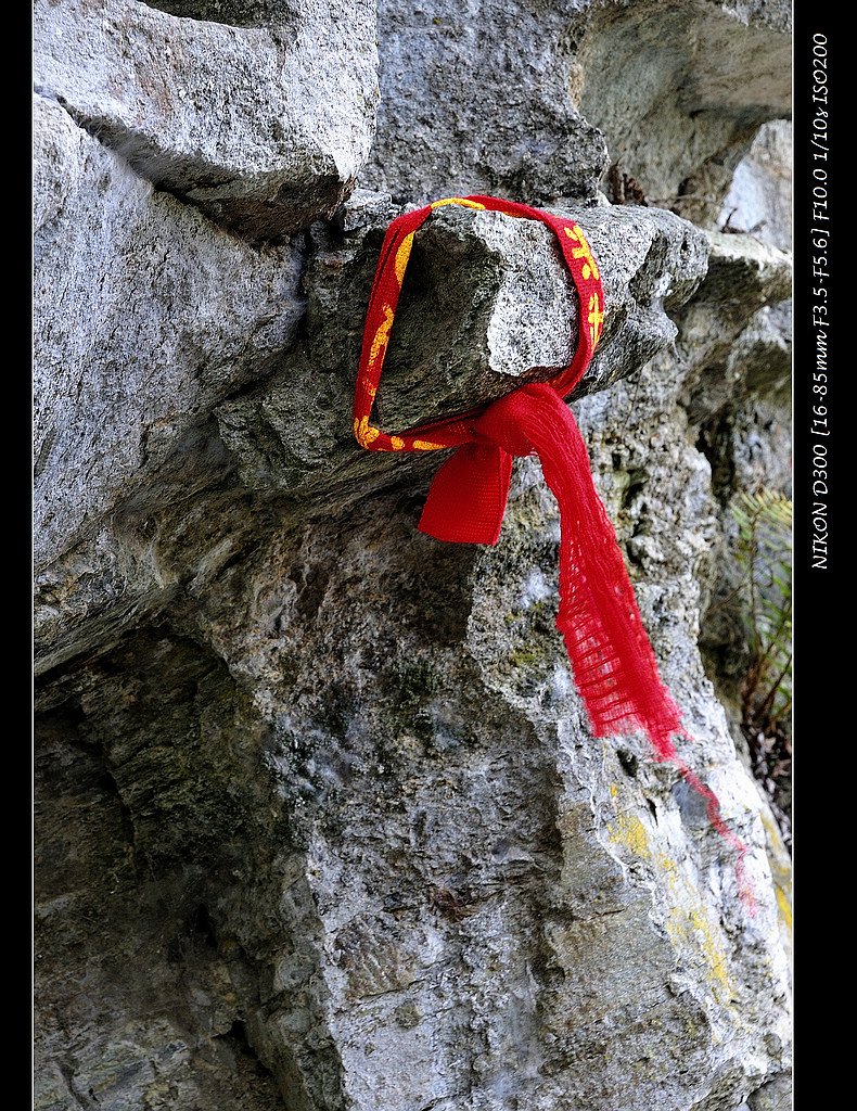 _DSC6407.JPG
