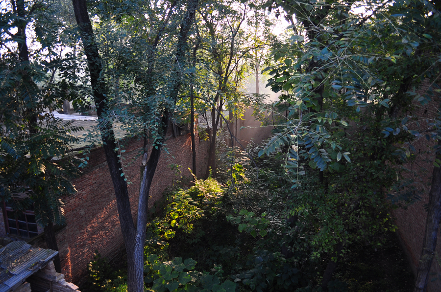 DSC_0363.jpg