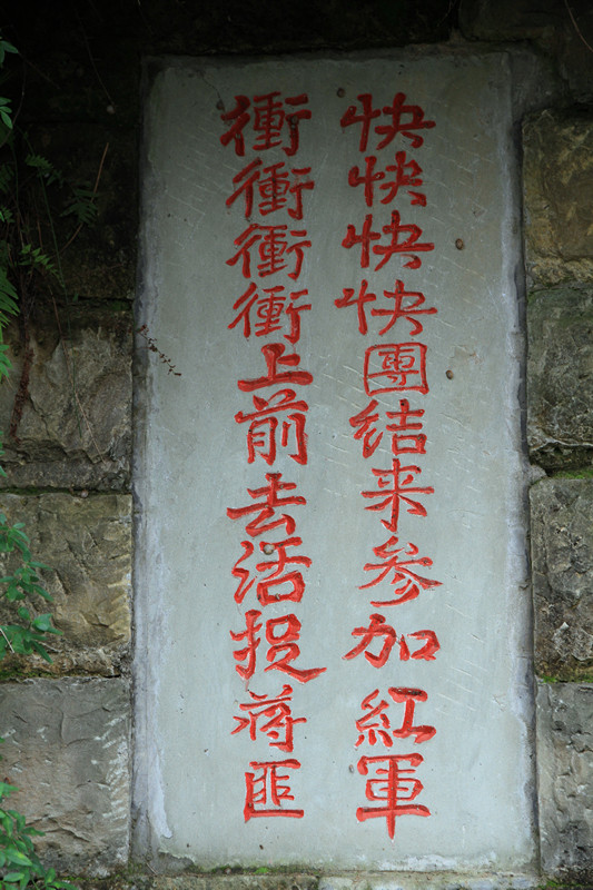 阆中 015_副本.jpg