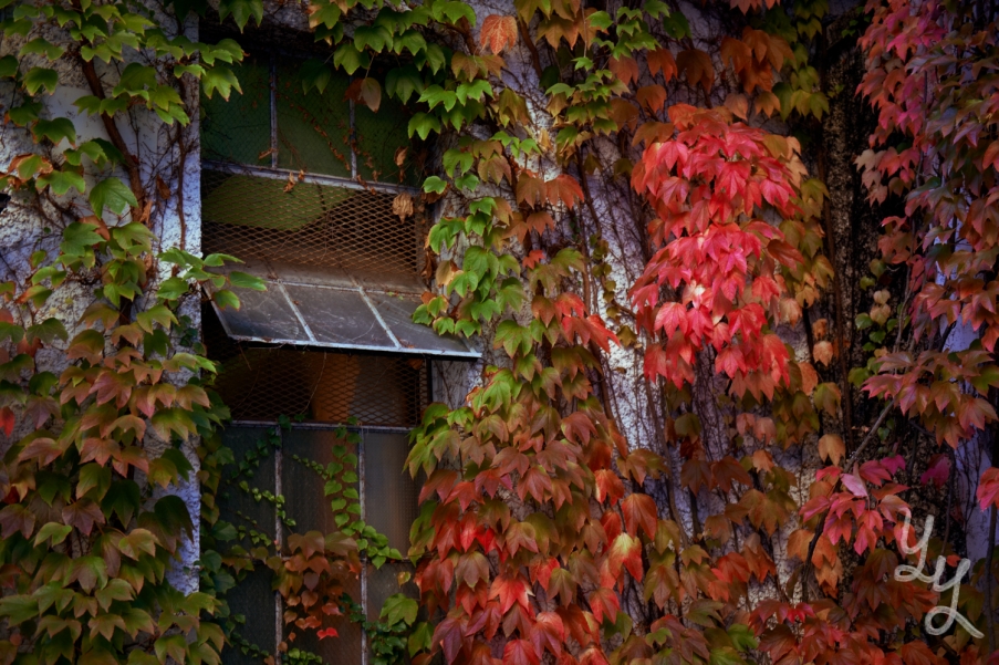 [Oct6Campus] 5.jpg