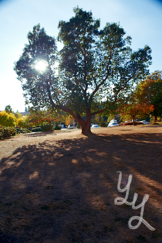 [Oct6Campus] 9.jpg