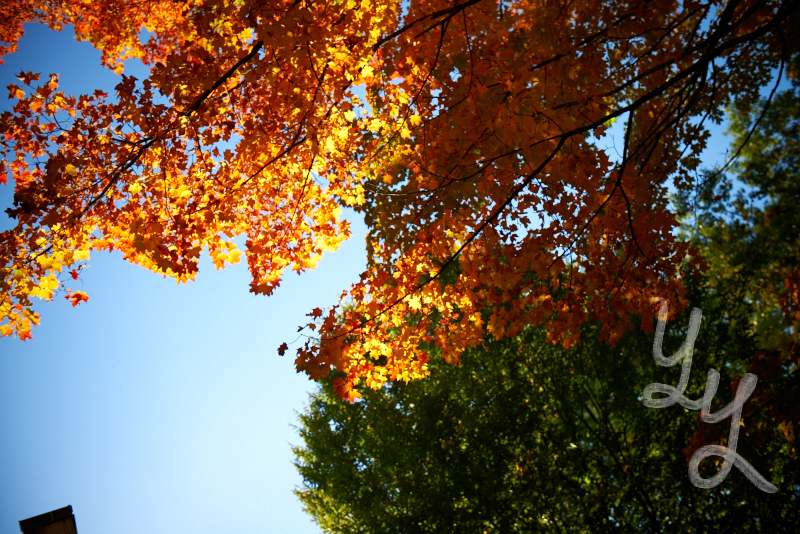 [Oct6Campus] 19.jpg
