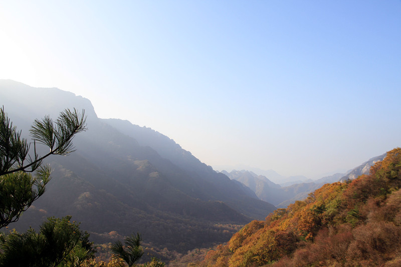 秦岭 129_副本.jpg