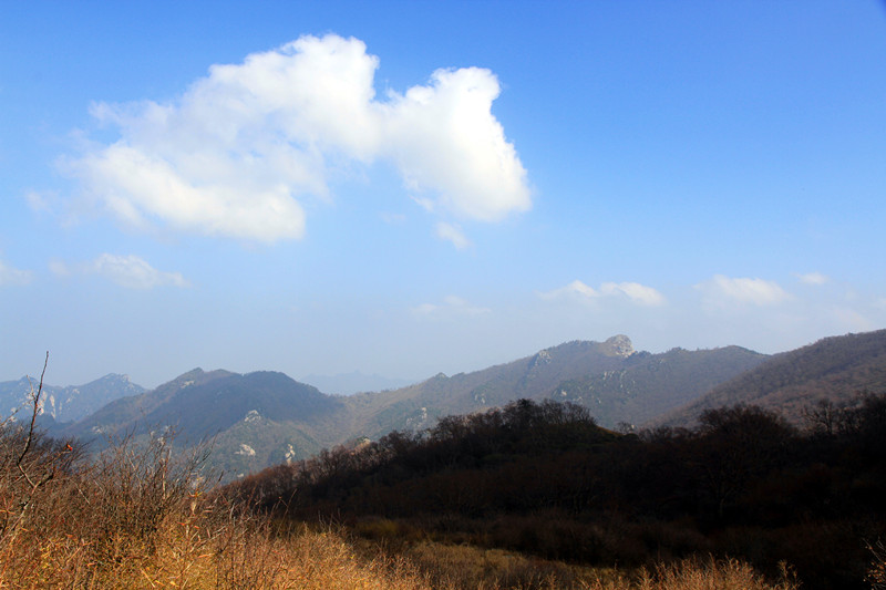 秦岭 183_副本.jpg