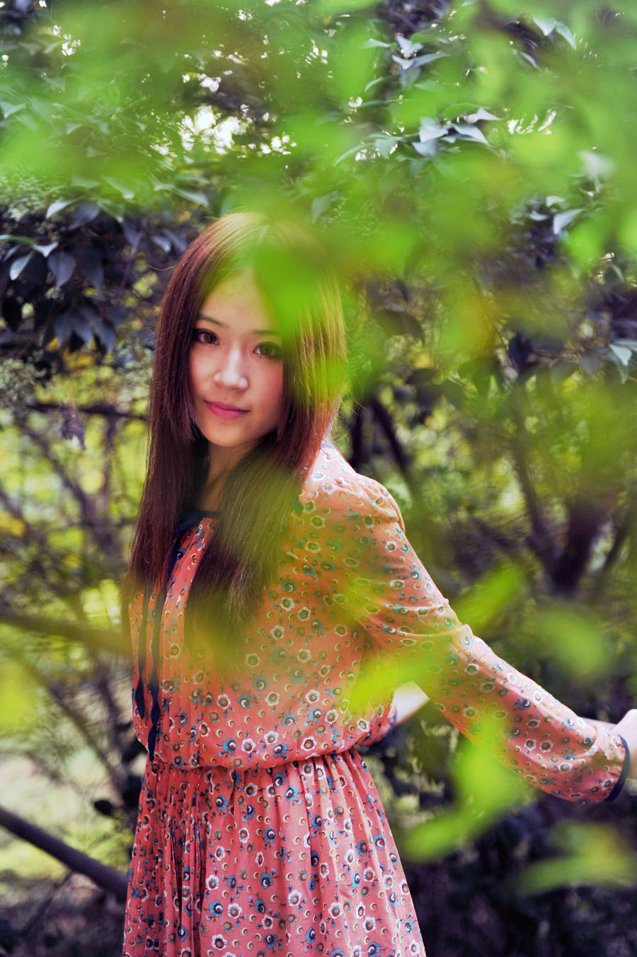 DSC_9719a.jpg