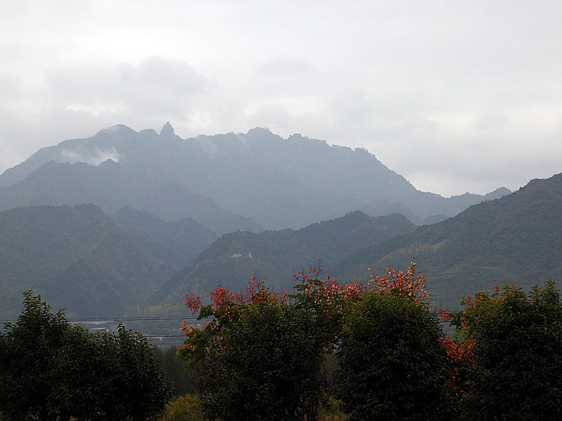 DSCF5890_副本.jpg