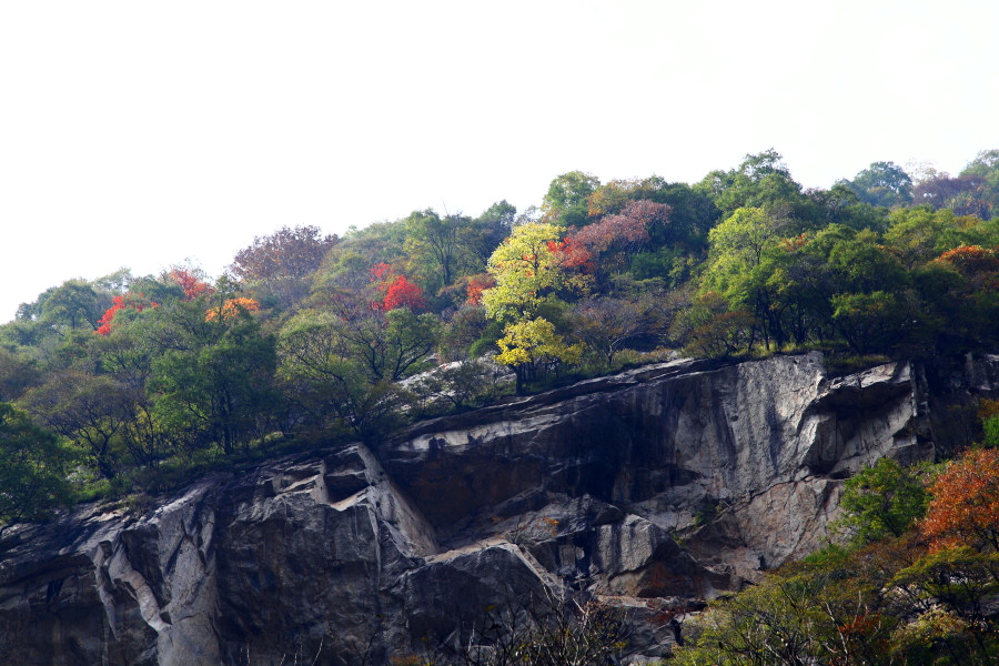 IMG_1368_副本.jpg