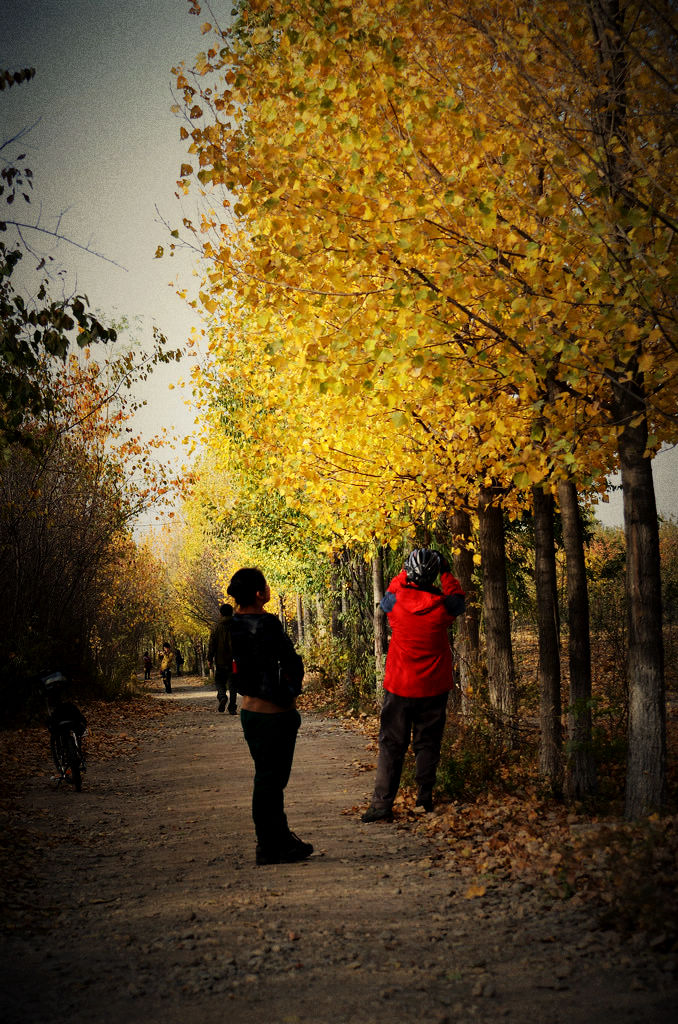 nEO_IMG_DSC_7966.jpg