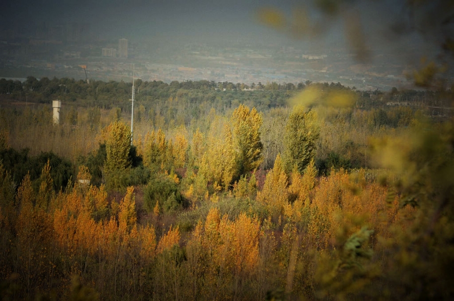 nEO_IMG_DSC_7819.jpg
