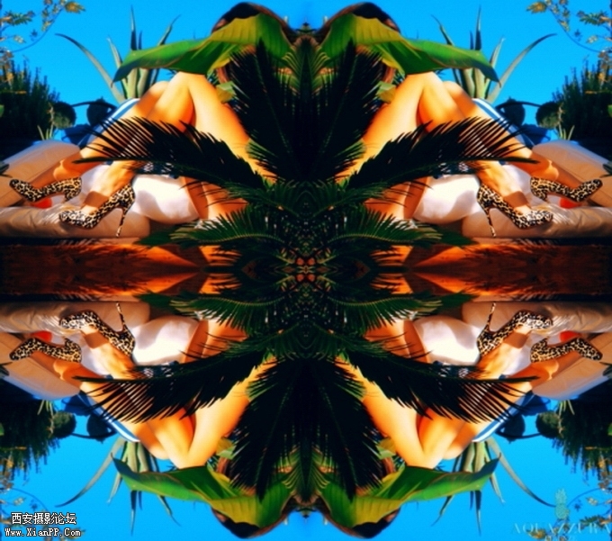 14153088n5nzr4epeofotm.jpg