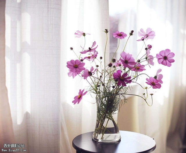 105915b3qgh8gg8seshyao.jpg