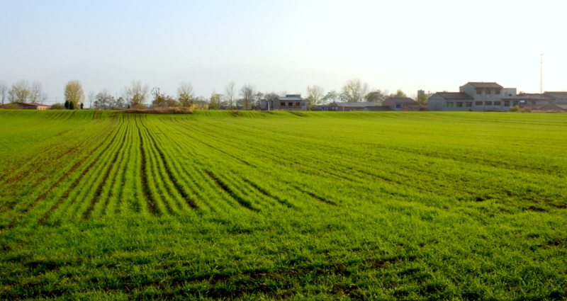 DSC_0996.jpg