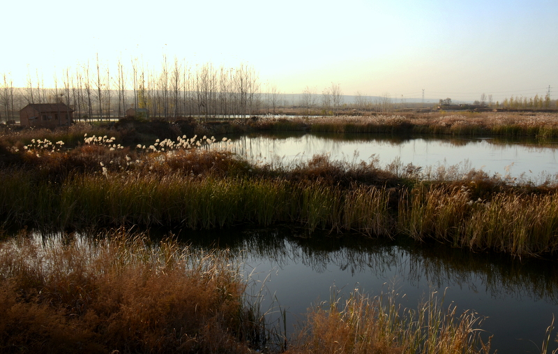 DSC_1000.jpg