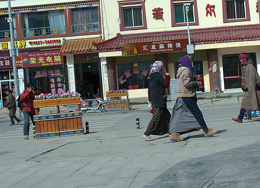 L1022487.jpg