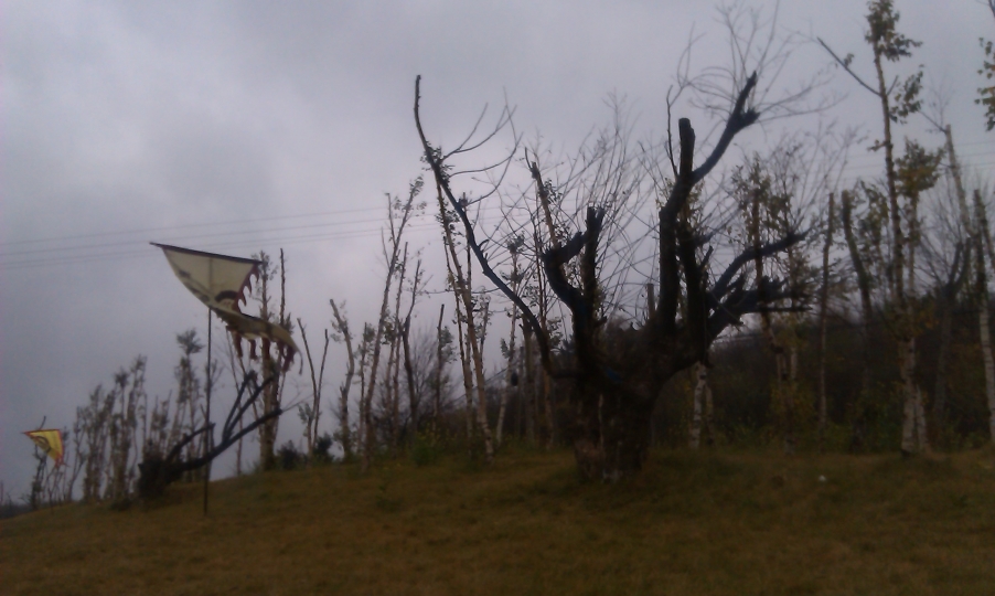 IMAG0030.jpg