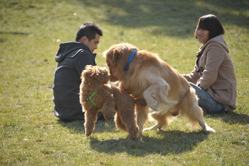 DSC_3043.JPG