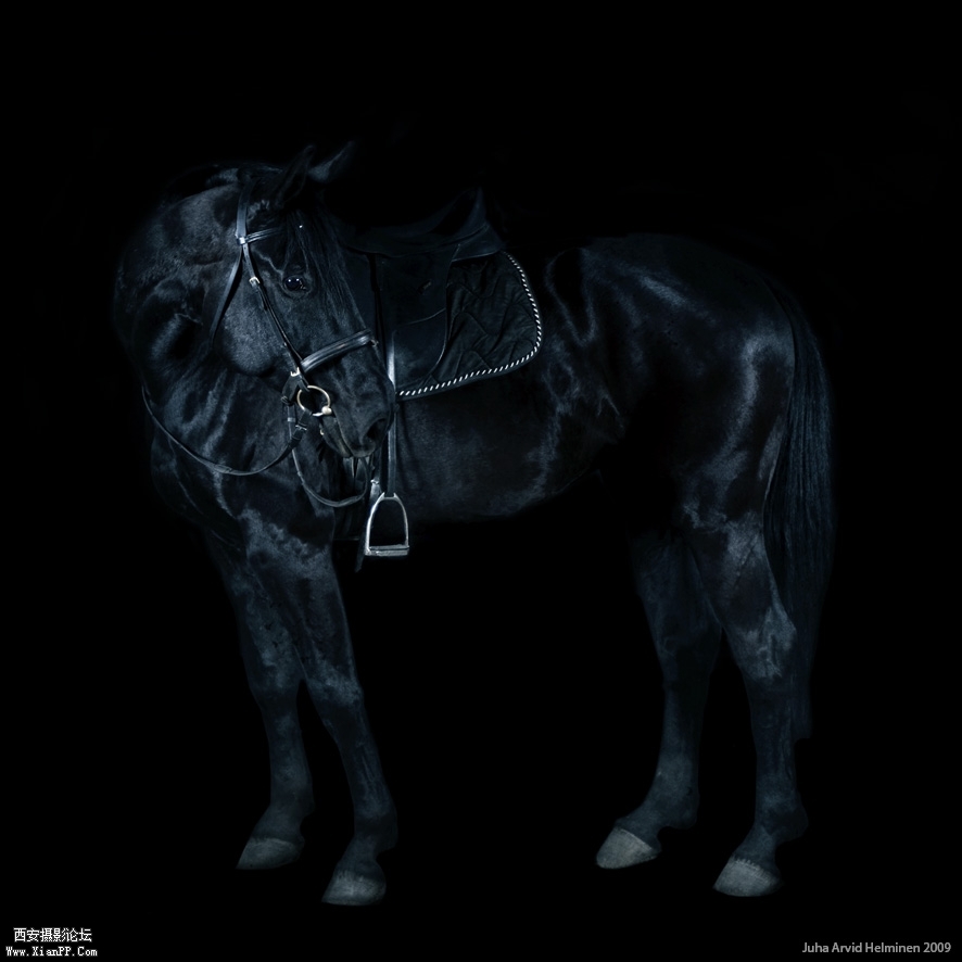 20082287y73r4z3y8rf8gr.jpg