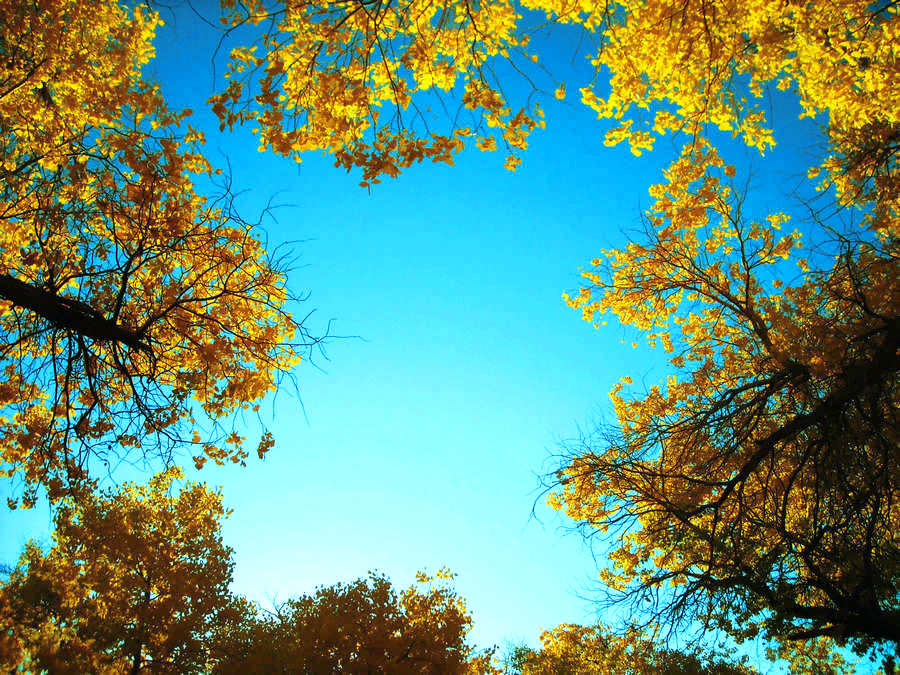 DSCN6182.JPG