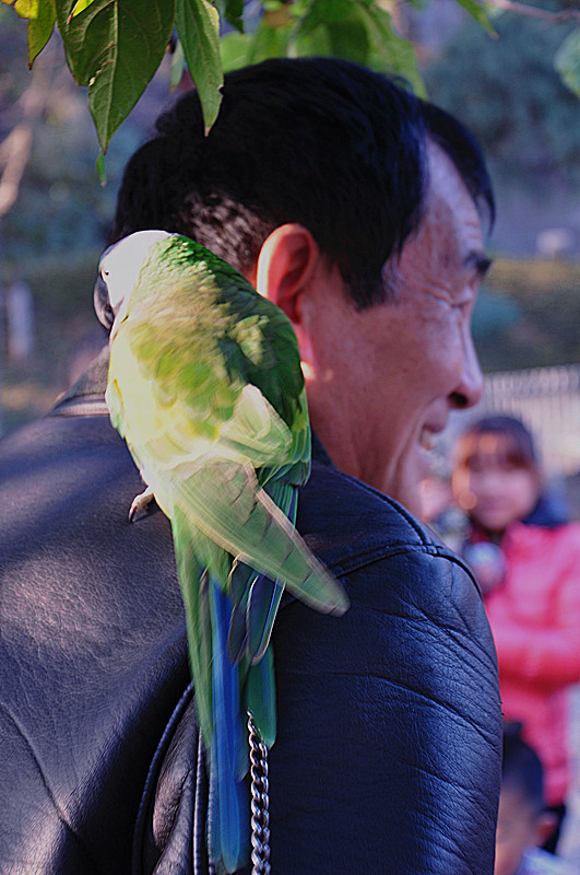 DSC_0468_副本.jpg