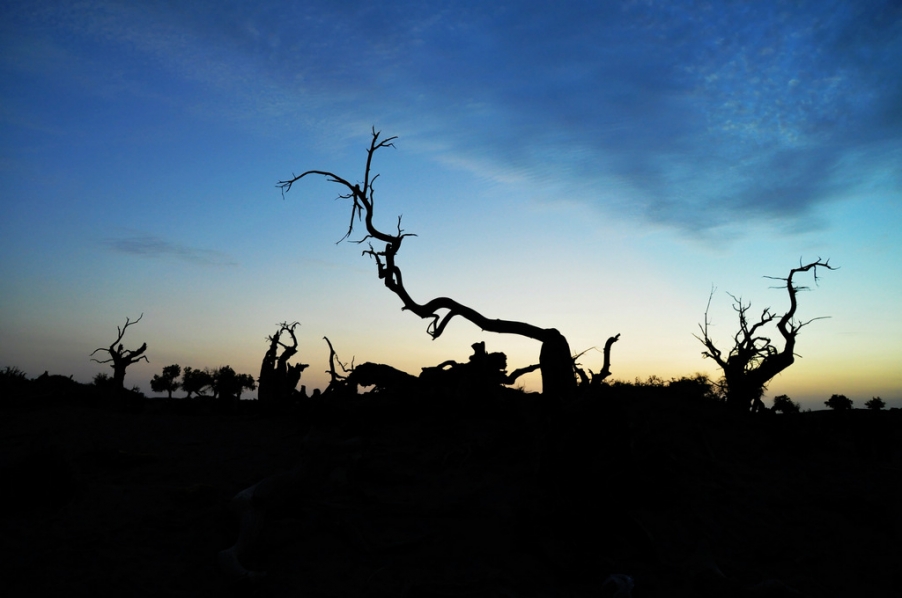 DSC_0719.JPG