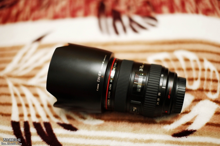 _MG_5123.JPG