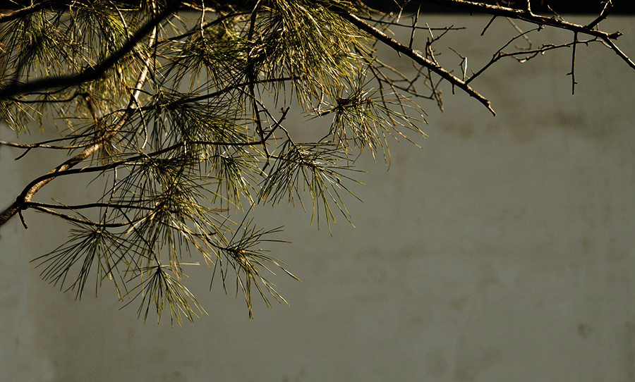 DSC_0021.JPG