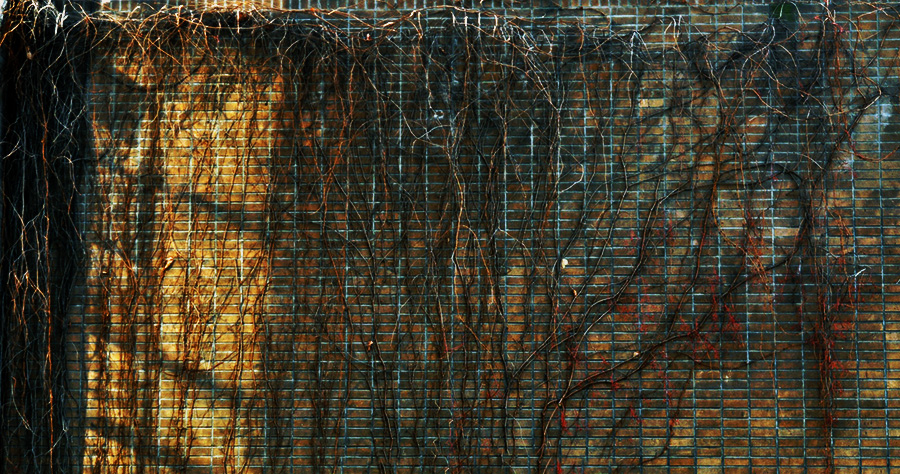 DSC_0035.JPG