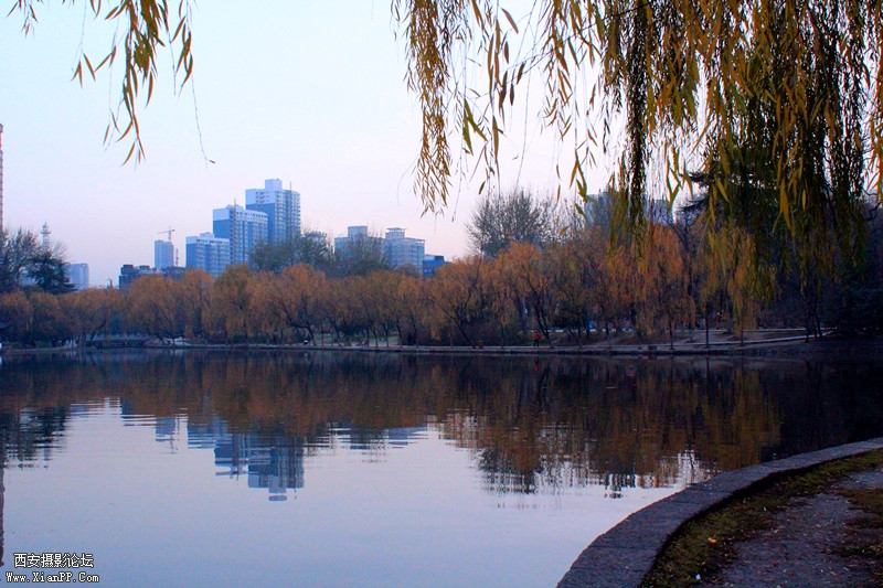 IMG_8438_副本.jpg