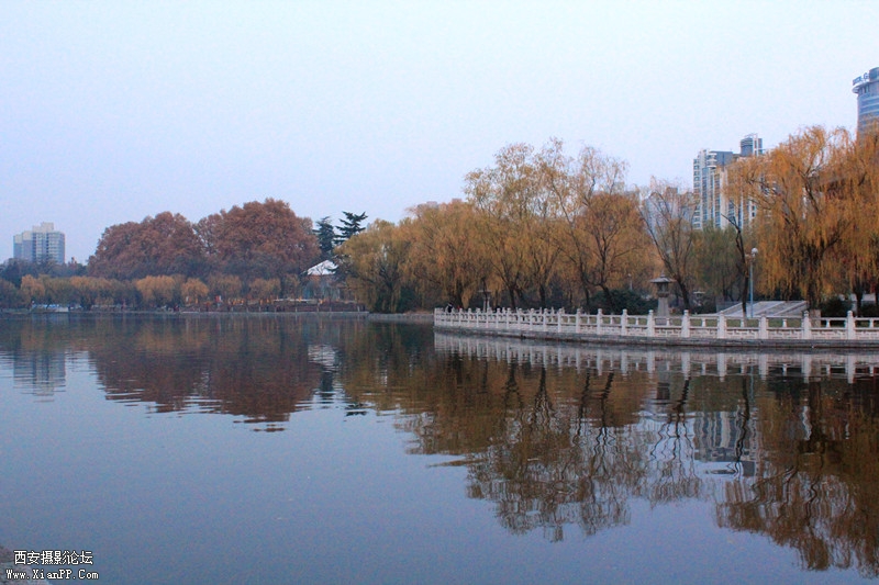 IMG_8439_副本.jpg