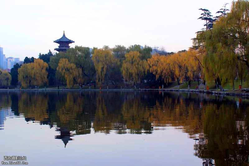 IMG_8452_副本.jpg