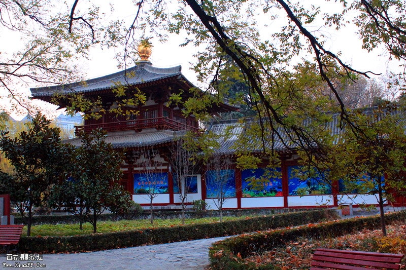 IMG_8454_副本.jpg