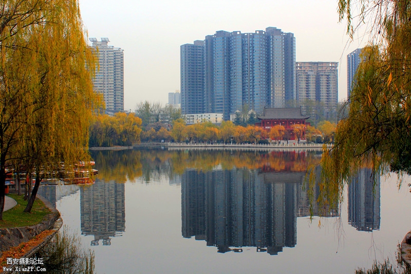IMG_8489_副本.jpg
