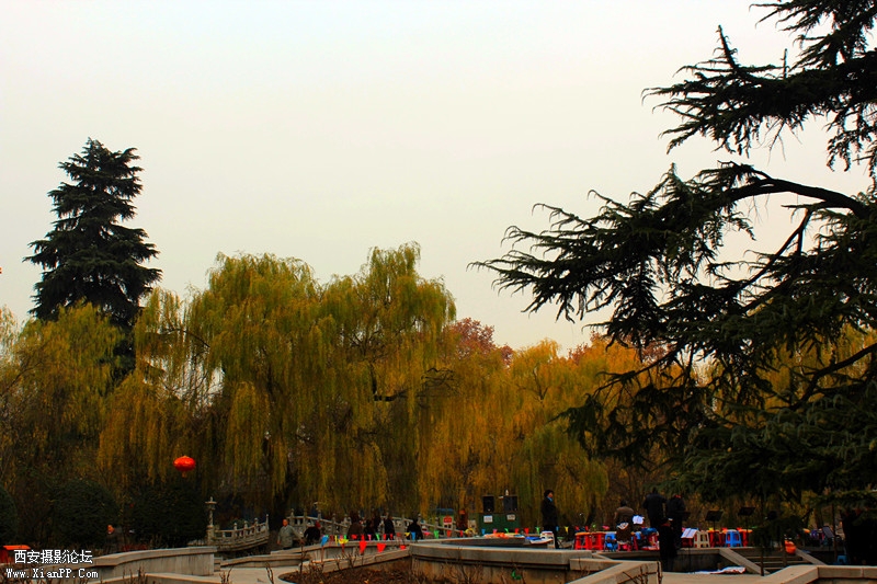 IMG_8495_副本.jpg