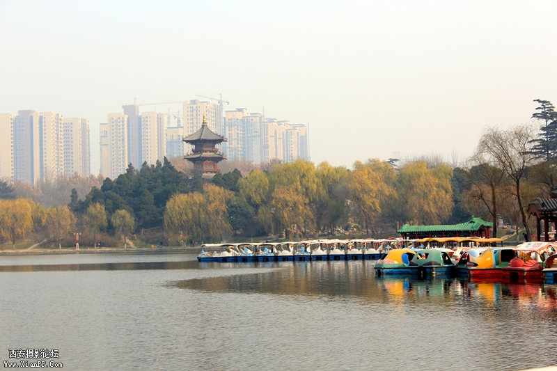 IMG_8888_副本.jpg