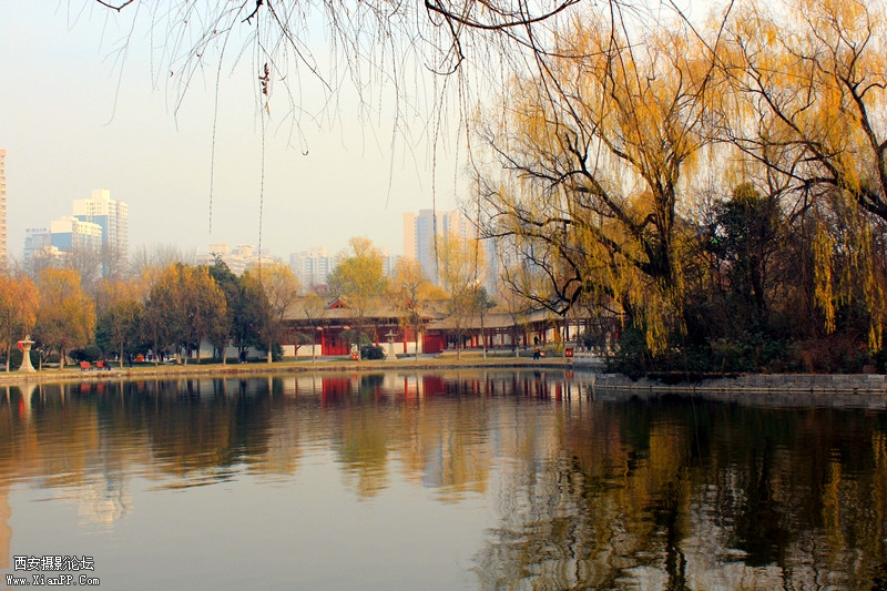 IMG_8915_副本.jpg