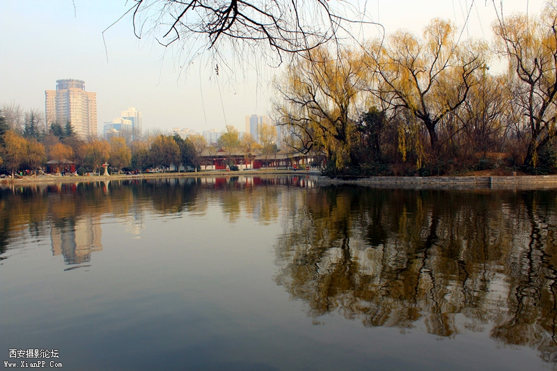 IMG_8917_副本.jpg