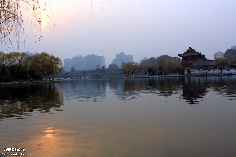 IMG_9015_副本.jpg