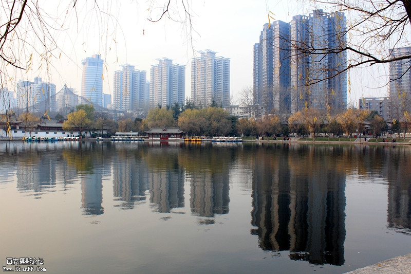 IMG_9026_副本.jpg