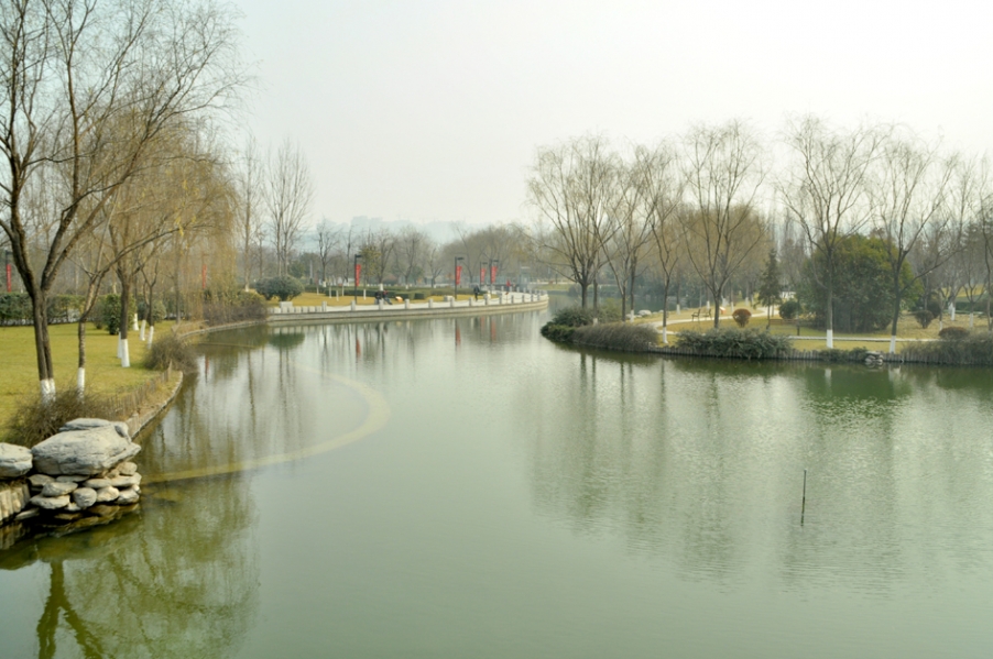 DSC_0443.JPG