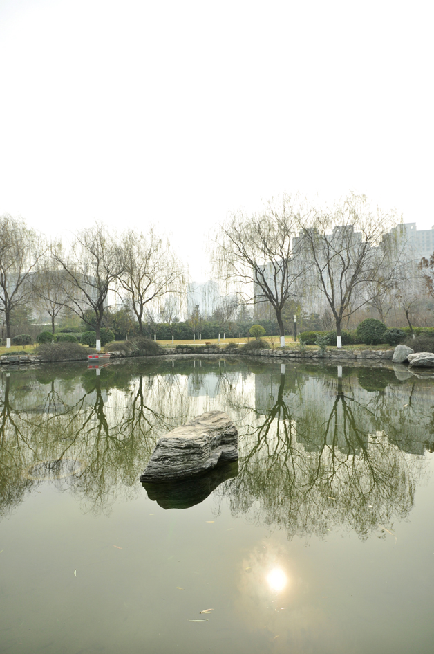 DSC_0181.JPG