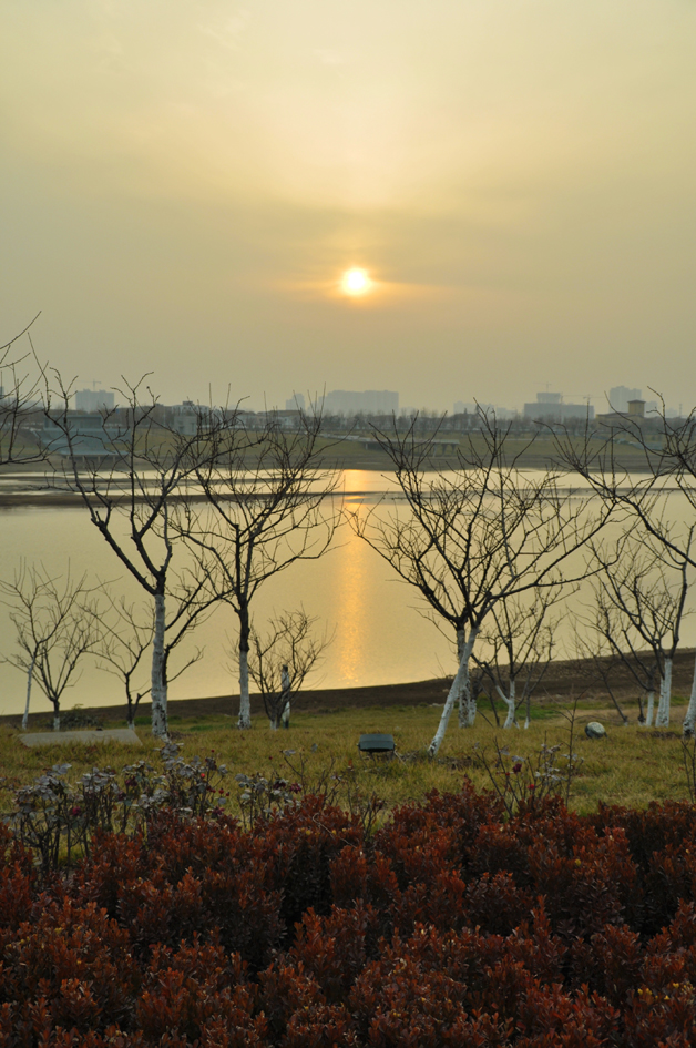 DSC_0127.JPG