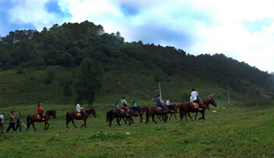 DSCF9467.JPG