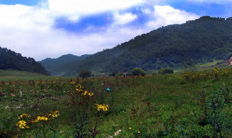 DSCF9468.JPG