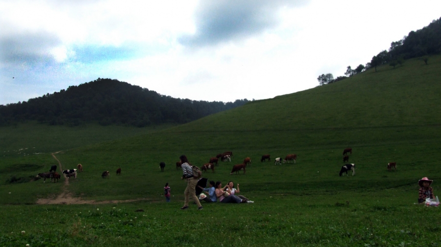 DSCF9494.JPG