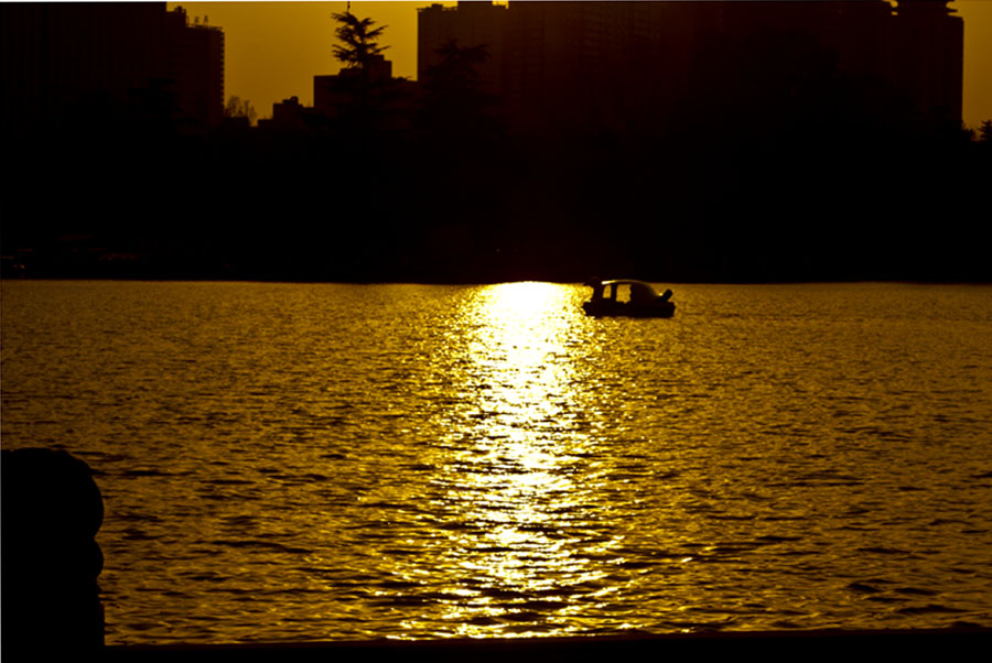 DSC_0440-3.jpg