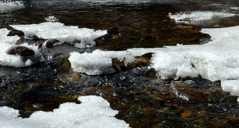 DSC_1895.jpg