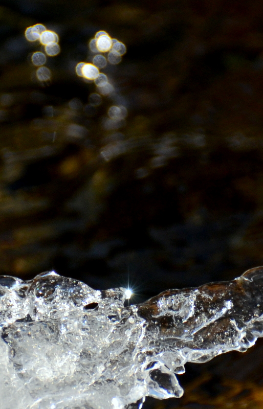 DSC_1898.jpg