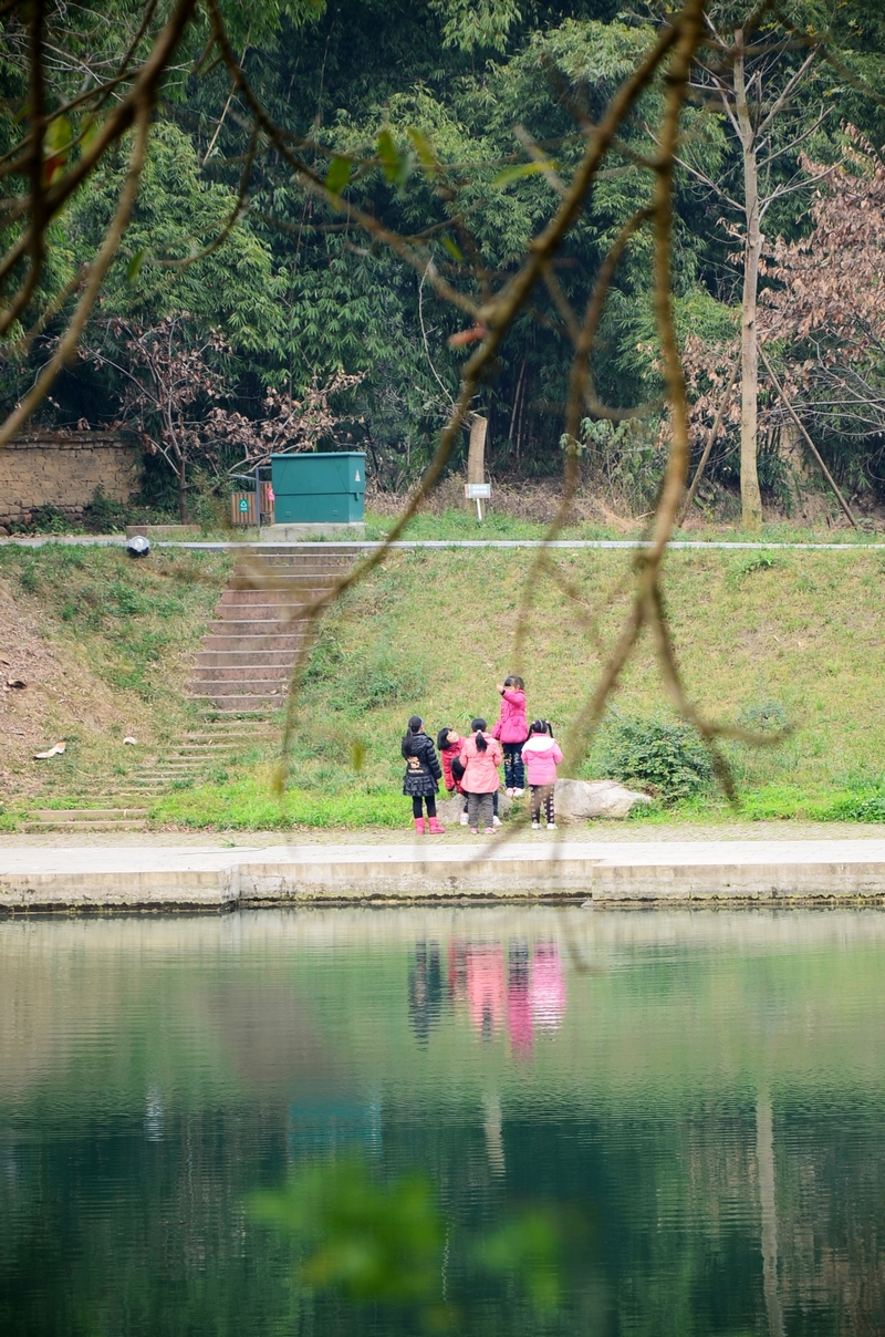 浦江西来古镇