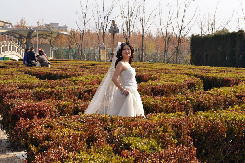 DSC_1228_副本.jpg