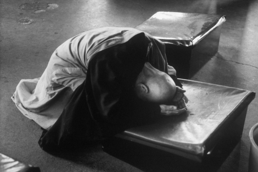 151201zhdtbtmmztmmmymp.jpg
